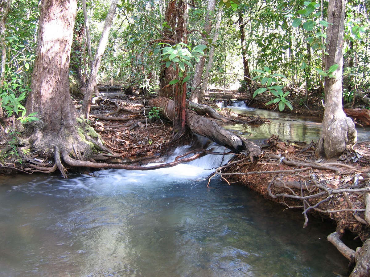 Ling Creek