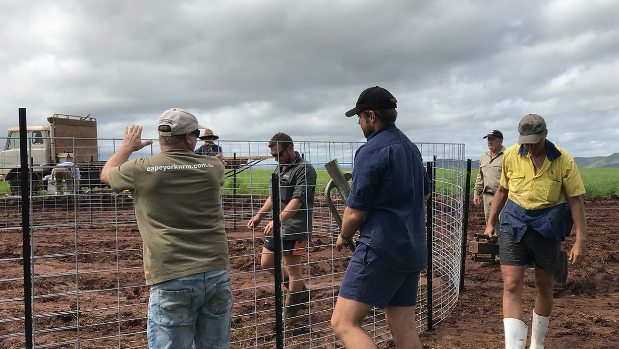 Oliver McConnachie, Peter Inderbitzen and others installing pig trap at Kureen Farming