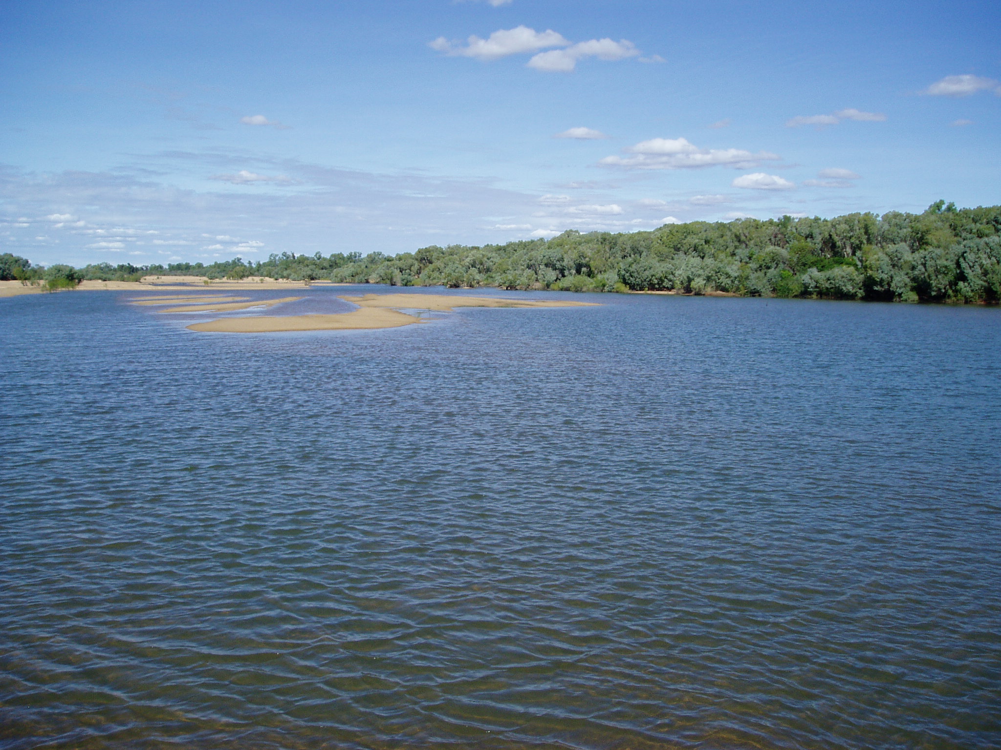 Mitchell River