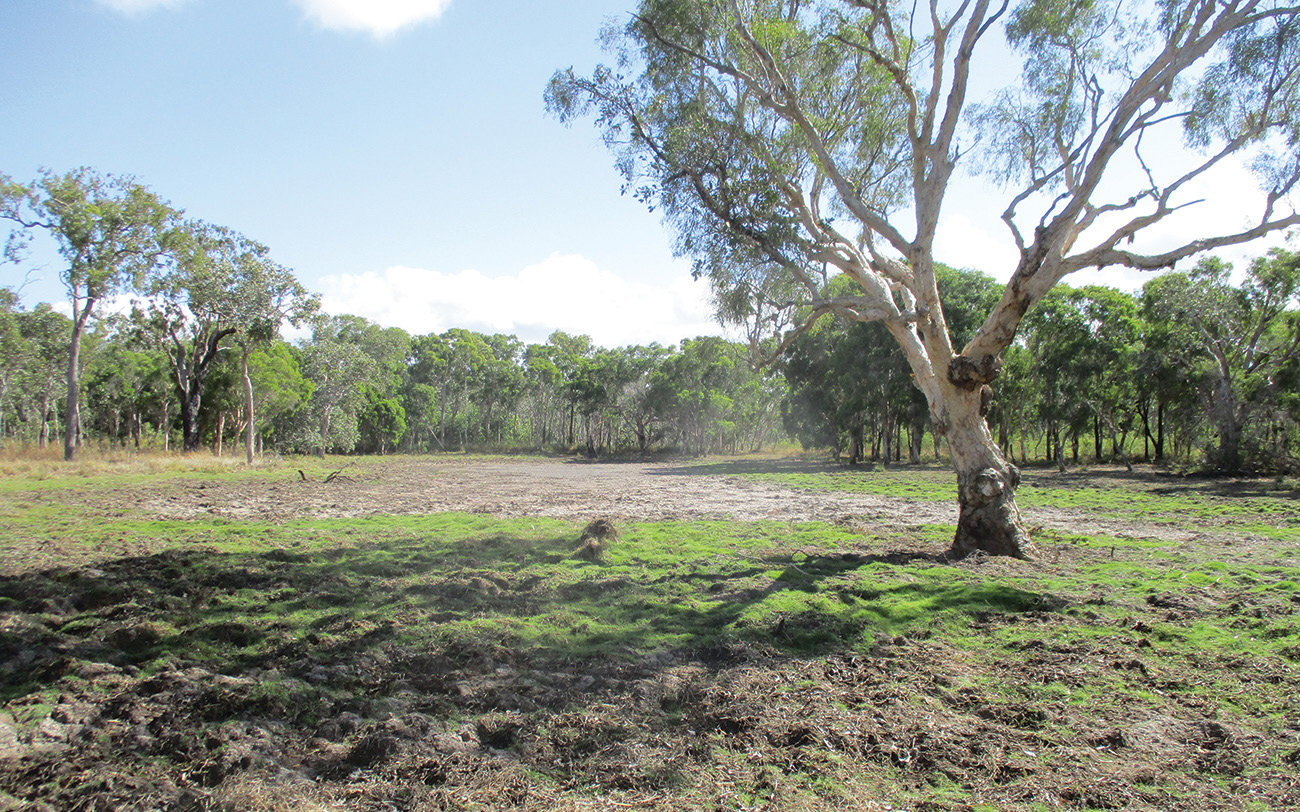 INSET ABOVE | CURLY LAGOON WAS BEING BADLY DAMAGED BY FERAL PIGS DIGGING UP THE EDGES PHOTO ABOVE | CURLY LAGOON IS NOW RECOVERING WELL