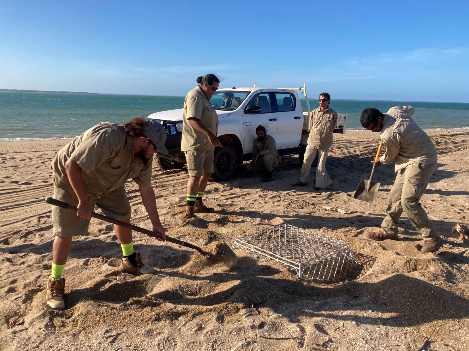 Mapoon Rangers installing nest protection cages