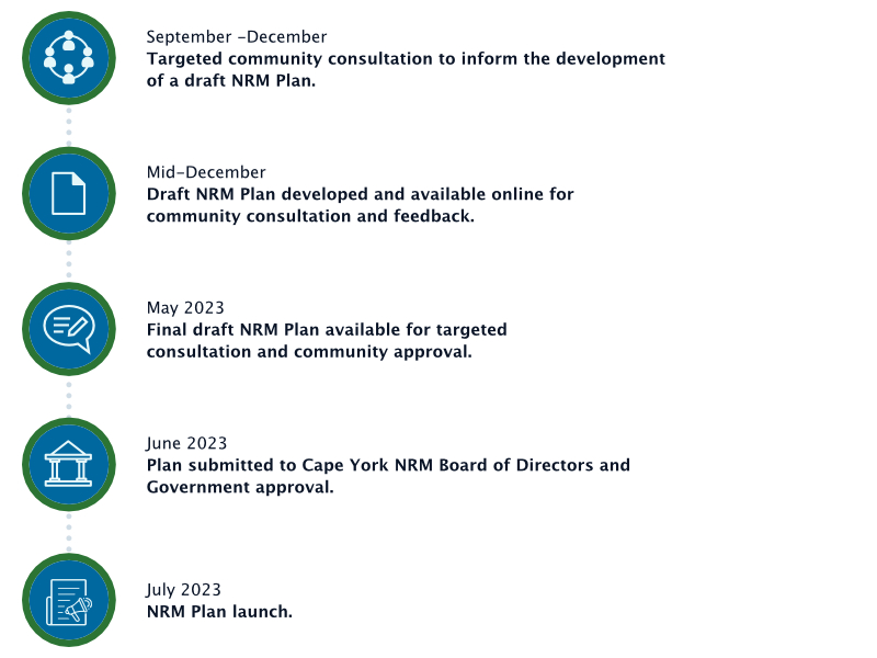 2023 NRM Plan revision timeline