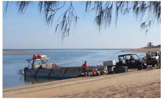 MANY OF THE TURTLE NESTING BEACHES BEING MONITORED ARE DIFFICULT TO ACCESS