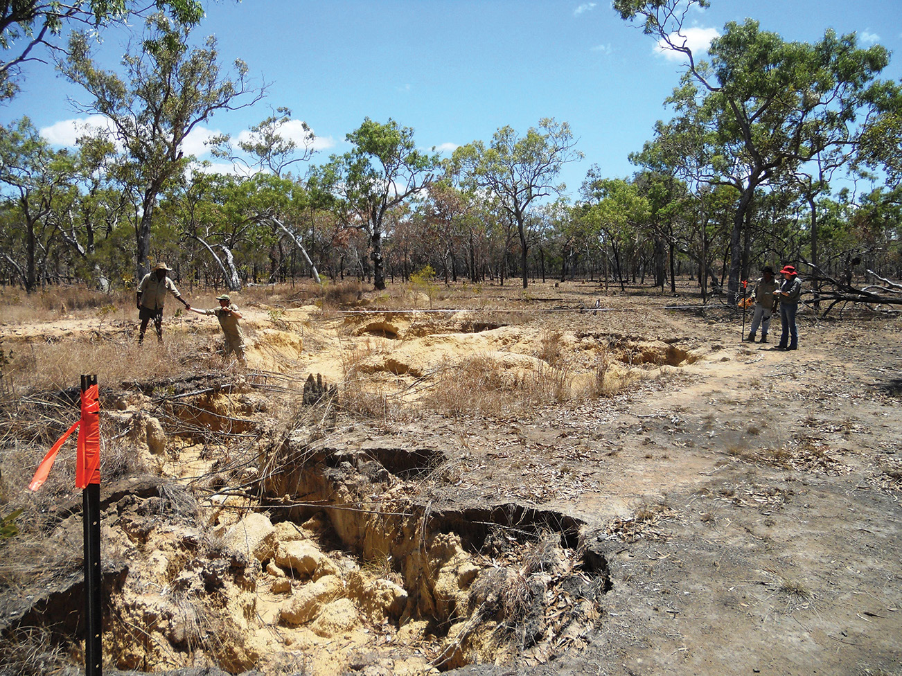 THE BALNGGARRAWARRA RANGERS ARE WORKING TO REMEDIATE GULLIES ON NORMANBY STATION PHOTO BALNGGARRAWARRA RANGERS