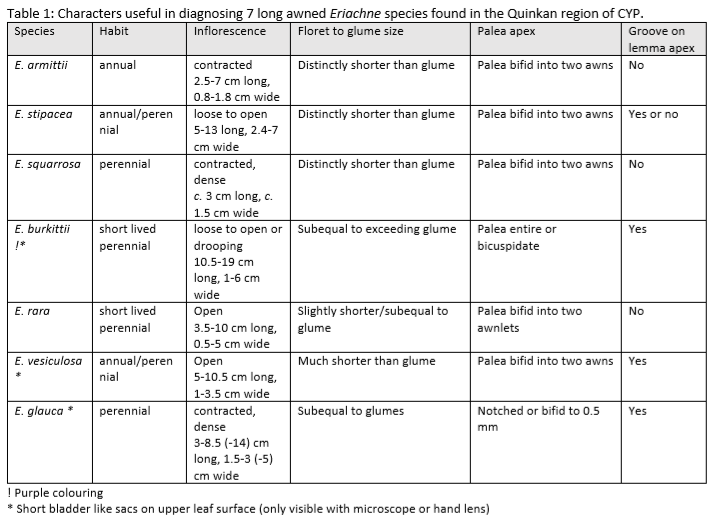 Characters useful in diagnosing 7 long awned Eriachne species found in the Quinkan region of CYP