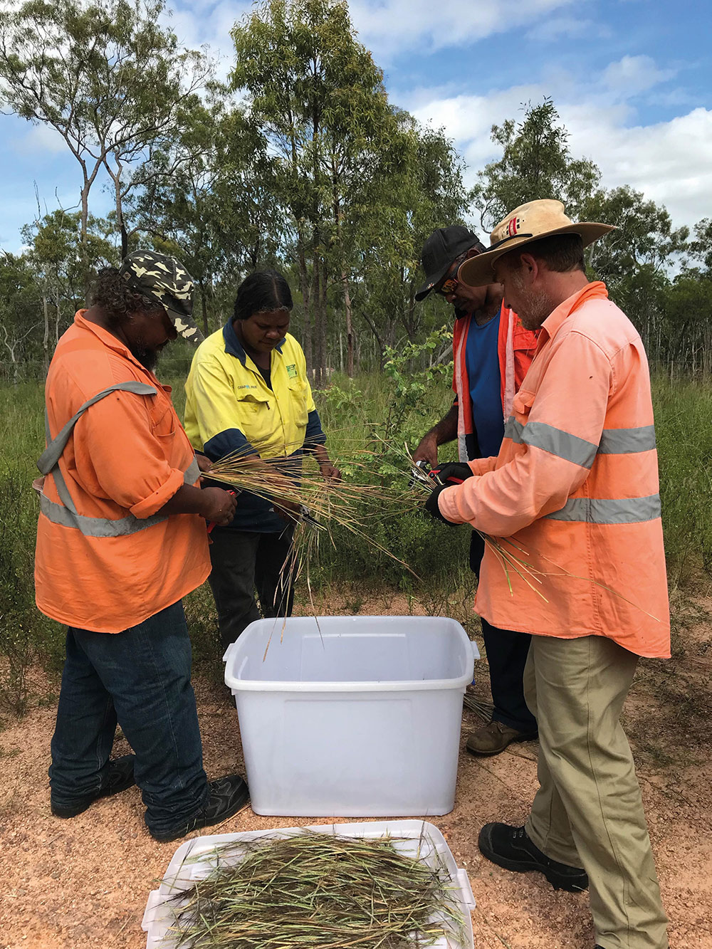 Collectors in the field