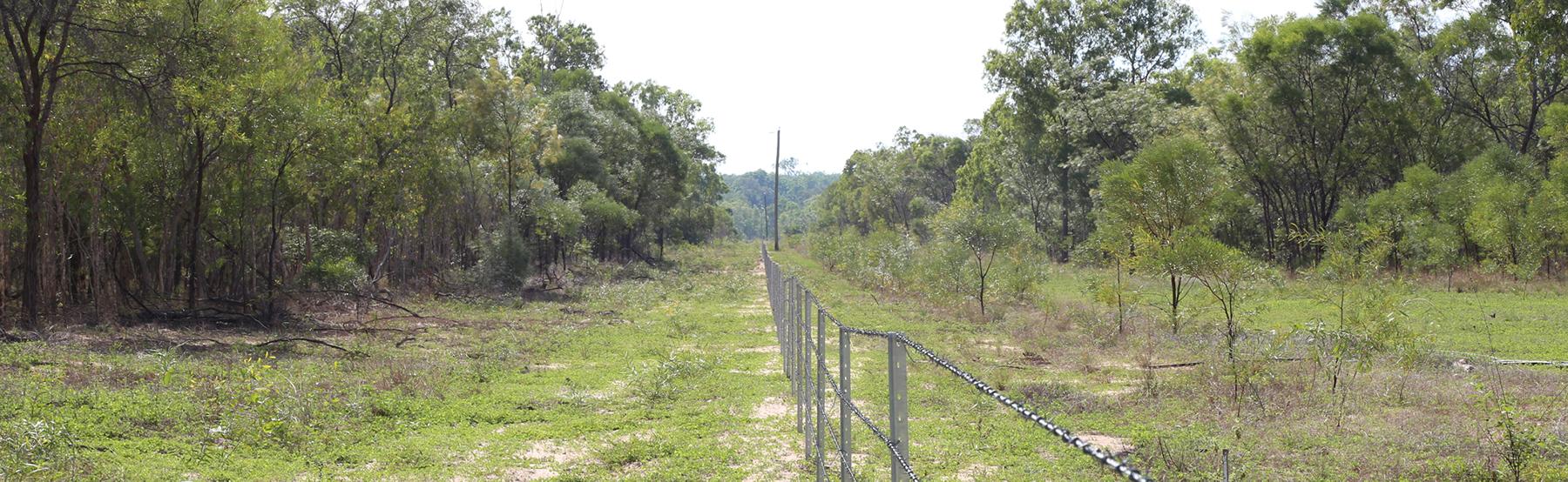 Alan Wilson's property in Laura. Photo: Lyndal Scobell