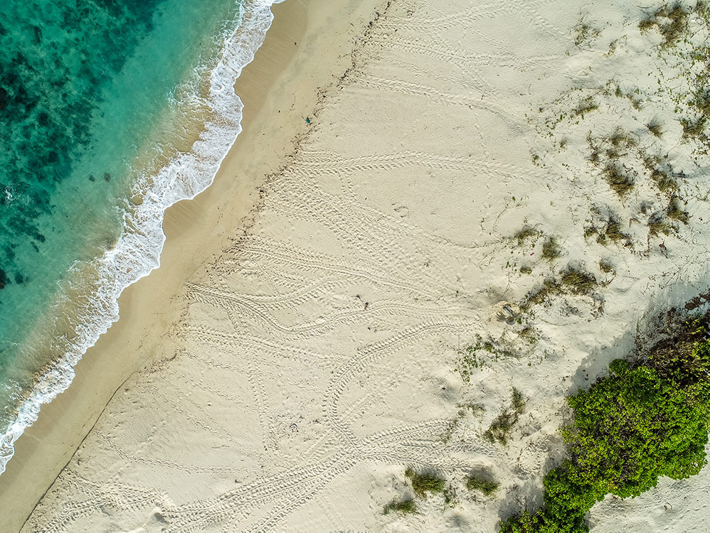 Woody Wallis Island - photo showing turtle tracks was taken using a 1.4 kilogram, multi-rotor drone with a 20 mp inbuilt camera | PHOTO by Droner 