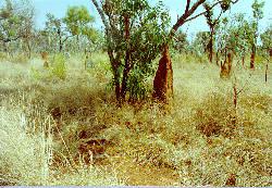 Grasslands Elsey Station