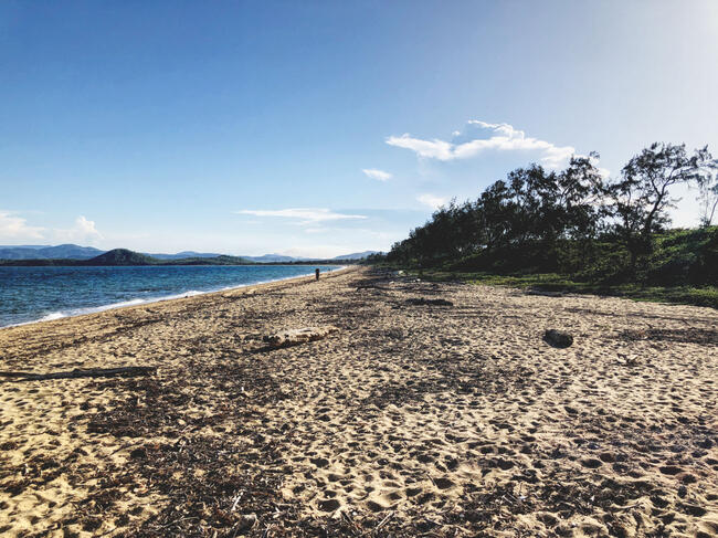 Beach after a cleanup